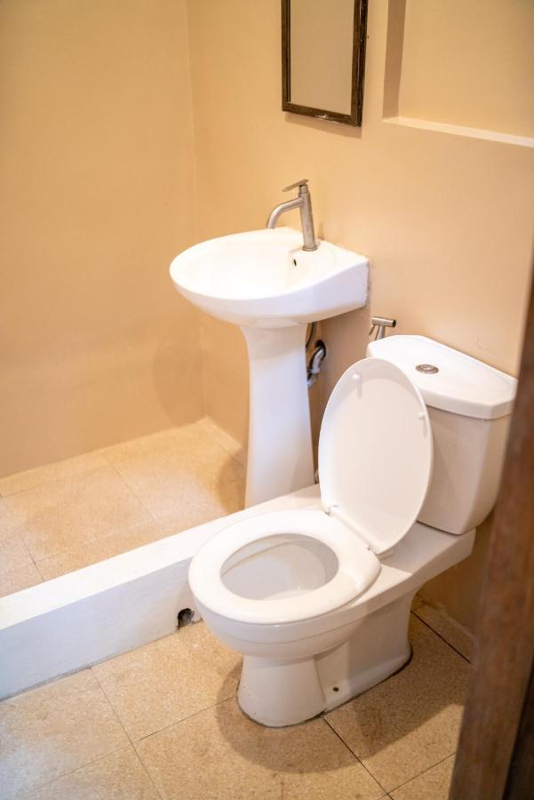 Cocorico Hostel San Vicente  Dış mekan fotoğraf