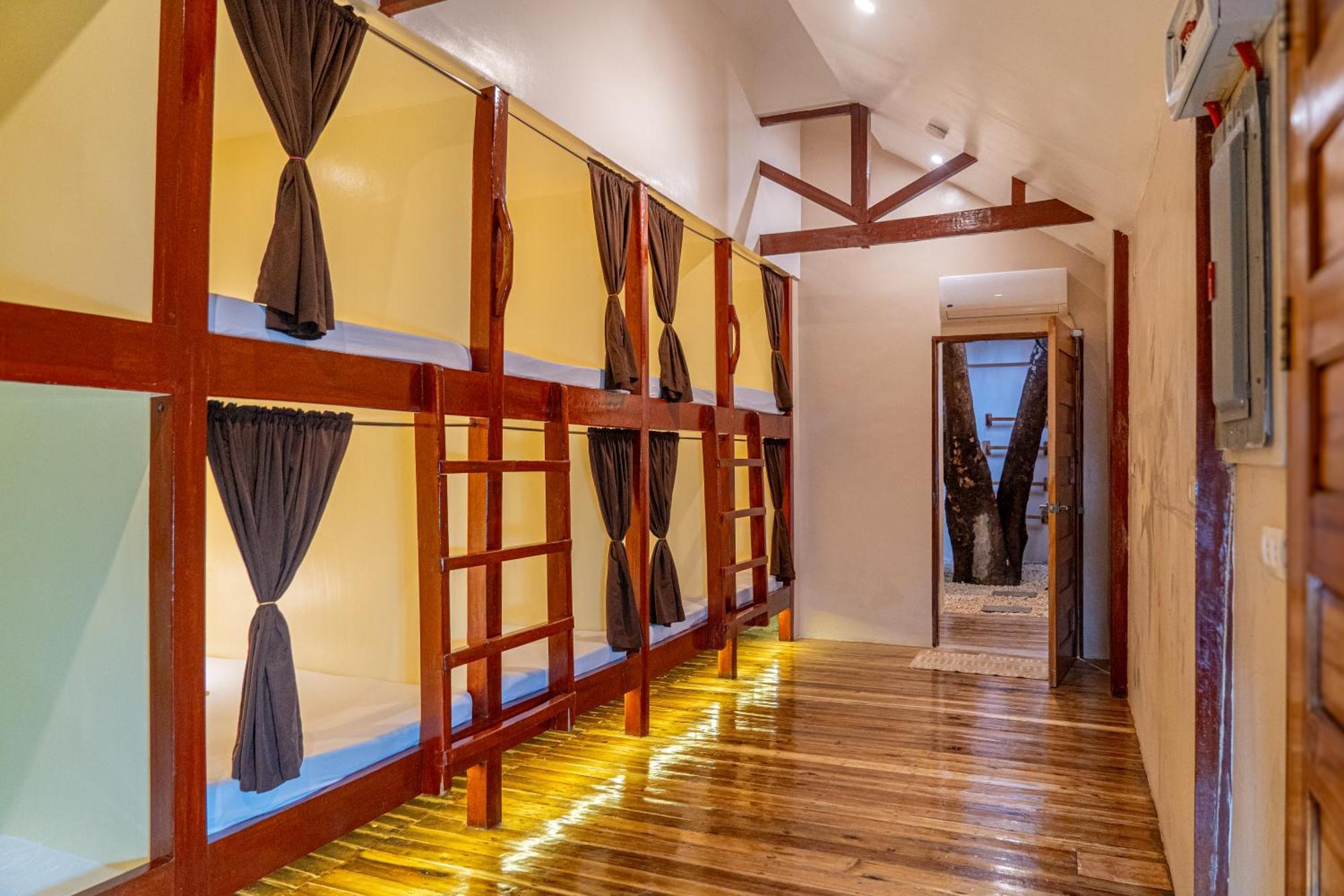 Cocorico Hostel San Vicente  Dış mekan fotoğraf