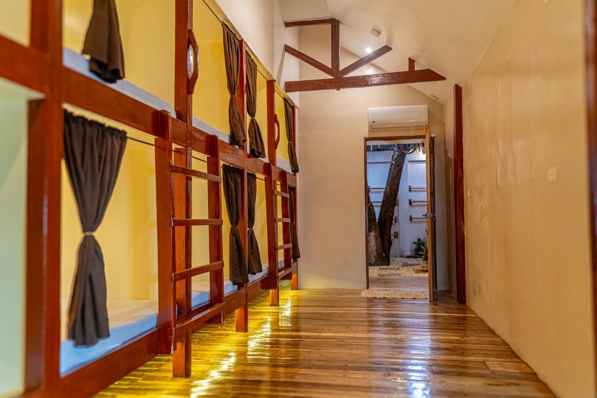 Cocorico Hostel San Vicente  Dış mekan fotoğraf